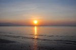 _DSC0242.jpg