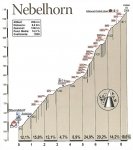 Nebelhorn2.jpg