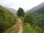 P1010078.JPG