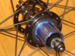 DSC02555.JPG