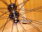 DSC02550.JPG