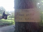 Limpieza1.jpg