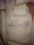 c35d243a9b584be4bf4d838c23004863camel.jpg