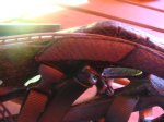 DSC03143.JPG