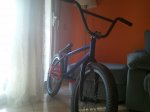 2011-08-18 19.01.22.jpg