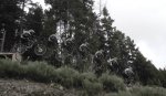 salto-2.jpg