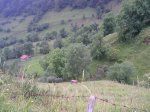 P1010079.JPG