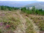 DSC09810.JPG
