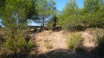 P1110364.JPG
