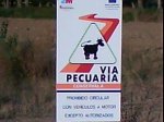 DSC00946.jpg