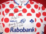 polkajersey.jpg