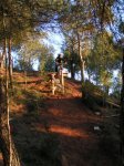 PICT0003 (Small).JPG