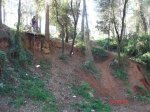 DSC02126.jpg