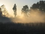 IMG_0717.JPG