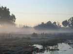 IMG_0718.JPG
