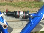giant anthem 1 EVOI 025.jpg