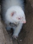 IMG_3013.JPG