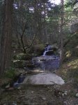 PIC_0007.jpg