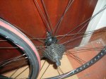 bontrager 3.JPG