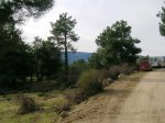 DSCN3456.JPG