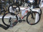 giant2012 005 (Medium).jpg