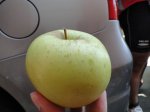 DSC03135_rsz.jpg