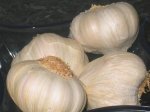 10-ajos.JPG