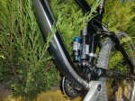 ultimes agost 2011 031.JPG