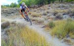 02012008921 copia.jpg
