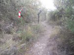 DSCN5885.JPG