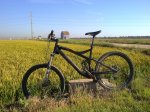 08092011173.jpg
