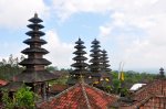 _DSC0202.jpg