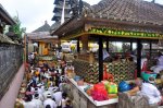 _DSC0206.jpg