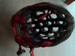 DSC01581.JPG