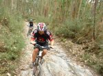 P1030739 (Copiar).JPG