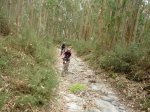 P1030738 (Copiar).JPG