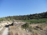 DSCN5757 - copia.JPG