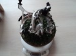DSC01608.JPG