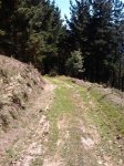 2011-09-09 14.50.57_800x600.jpg
