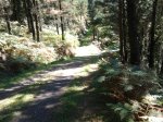 2011-09-09 14.25.55_800x600.jpg