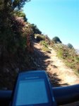 2011-09-09 12.53.29_800x600.jpg
