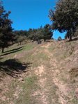 2011-09-09 14.50.53_800x600.jpg