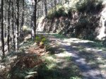 2011-09-09 14.25.59_800x600.jpg
