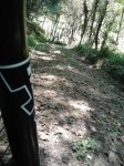 2011-09-09 14.10.43_800x600.jpg