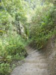 DSCN1470.jpg