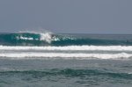 _DSC0420.jpg