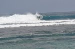 _DSC0442.jpg