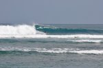 _DSC0416.jpg