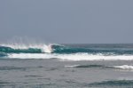 _DSC0425.jpg