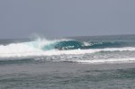 _DSC0444.jpg